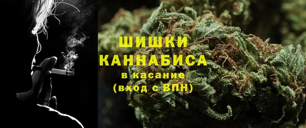 дурь Гусиноозёрск