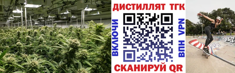 Купить где  Сольцы  Дистиллят ТГК вейп 