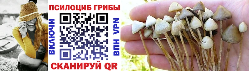 Псилоцибиновые грибы мицелий  Купить закладки  Сольцы 